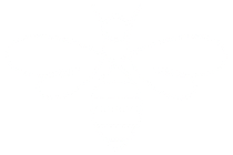 Sandra-Bee-Logo-210-140-w