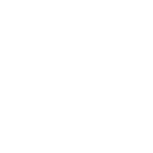 Sandra-Bee-Logo-300-w